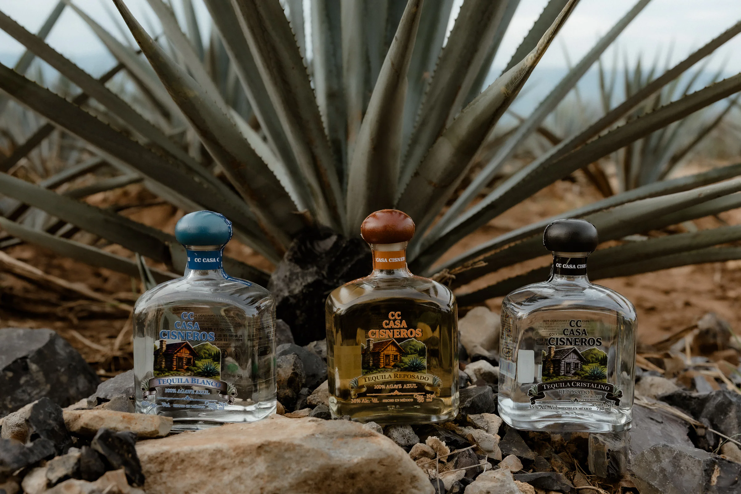 Tequila CC agosto 202611