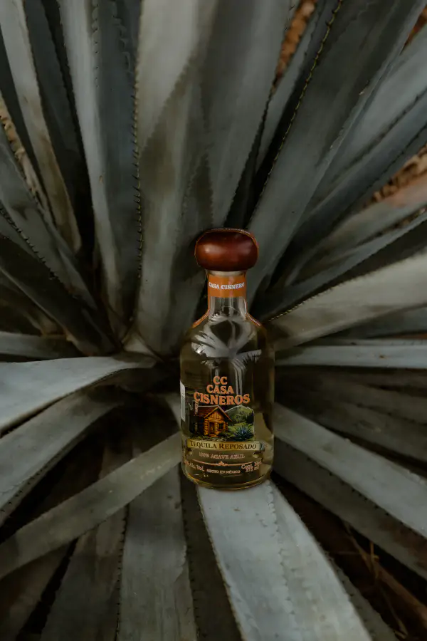 Tequila CC agosto 202614
